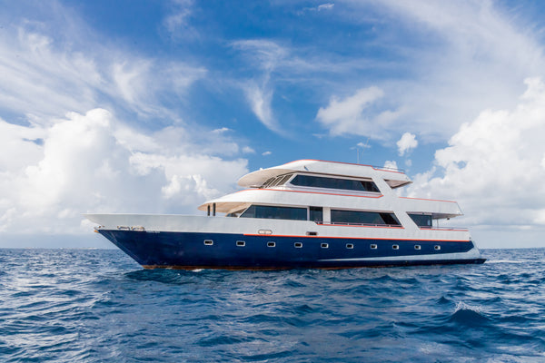 Maldive Surf Adventure