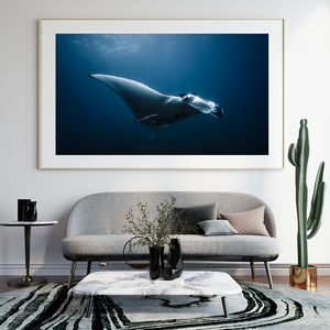 Fine Art Print