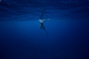 Spearfishing