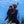 Freediving Fundamentals