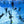 Costanoa freediving course underwater group shot