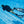 costanoa freediving course dynamic apnea